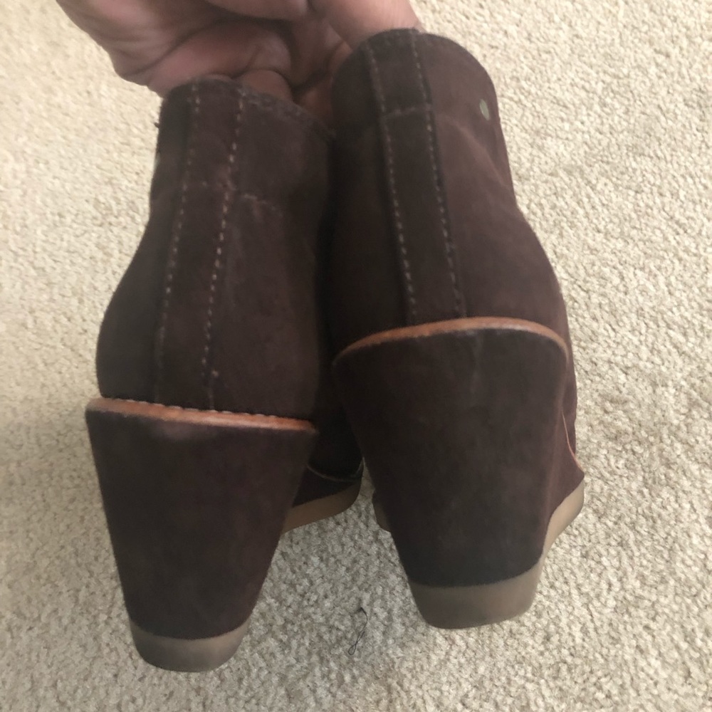 Coach - Picture 7 of 8